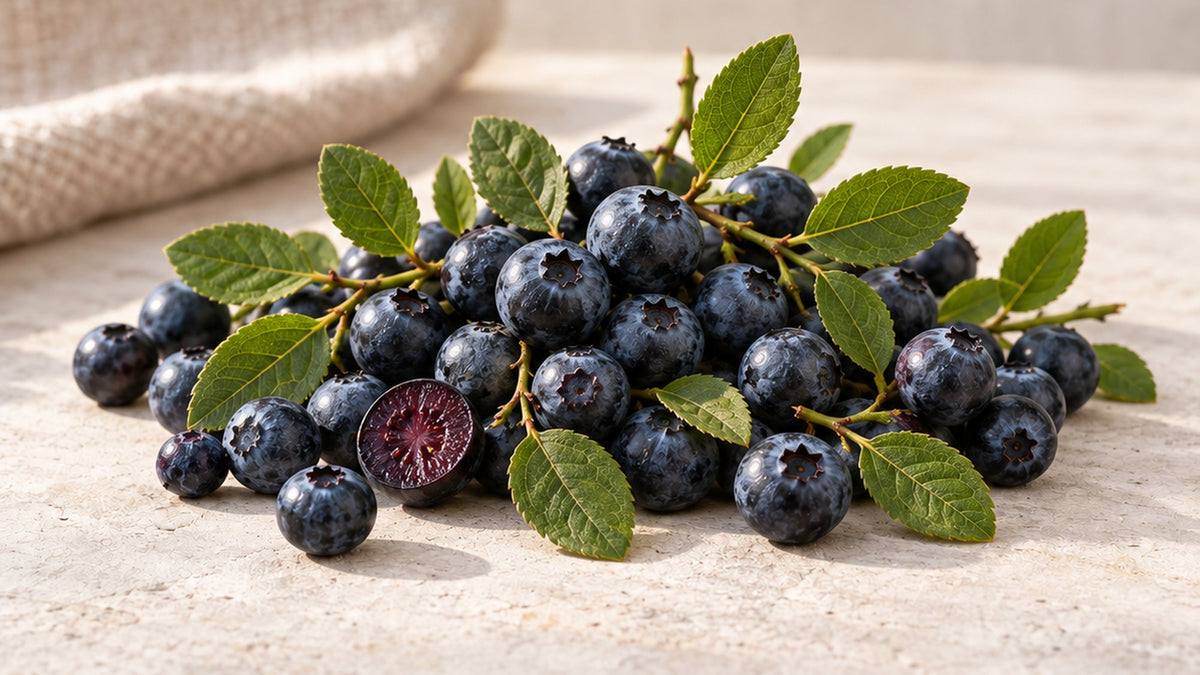 Fresh blueberries with green leaves on a pale stone surface in soft daylight