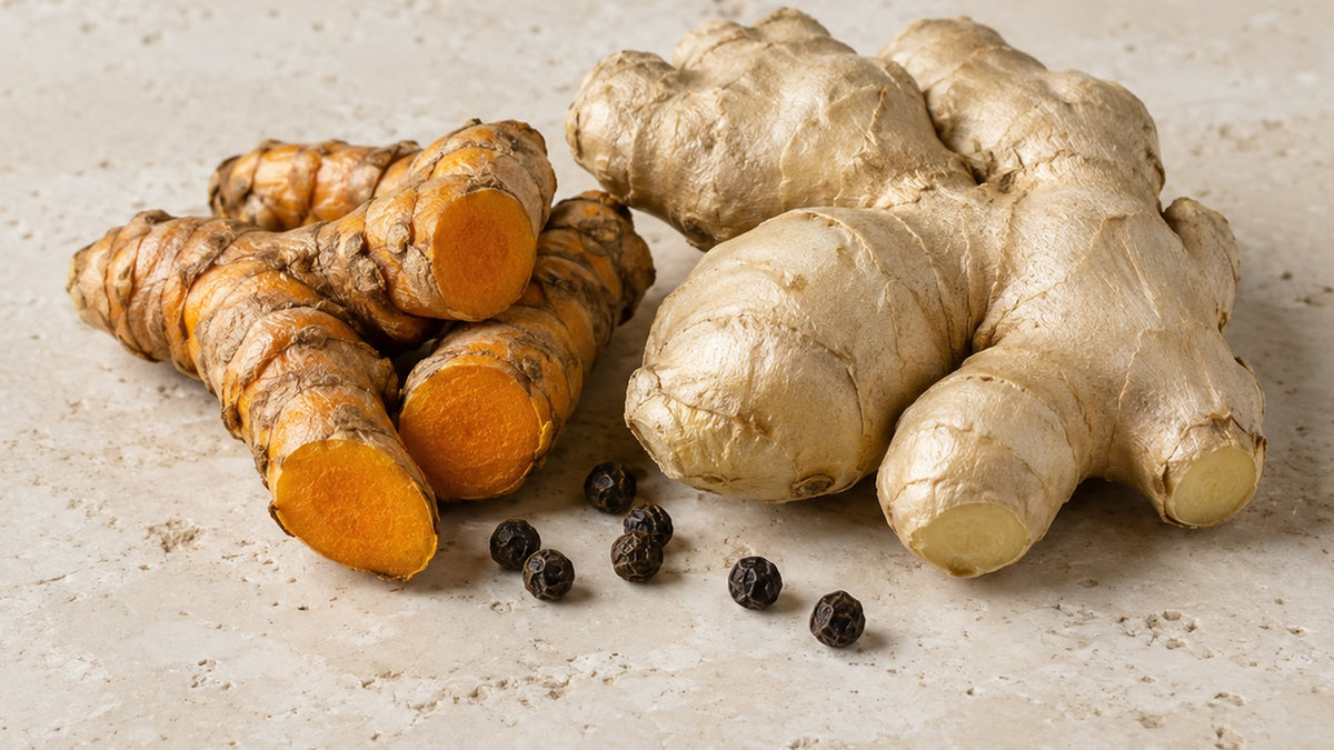 Fresh turmeric roots, a knob of ginger and black peppercorns on a pale stone surface