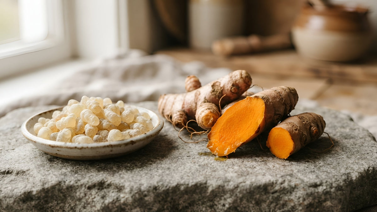 Golden boswellia resin in a dish beside fresh turmeric roots on grey stone