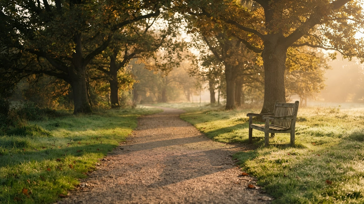 Empty tree-lined park path and wooden bench at sunrise