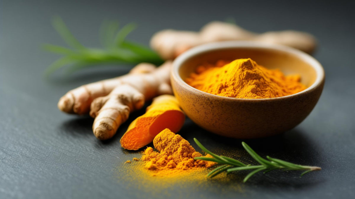 Turmeric root, ginger root and golden turmeric powder on slate