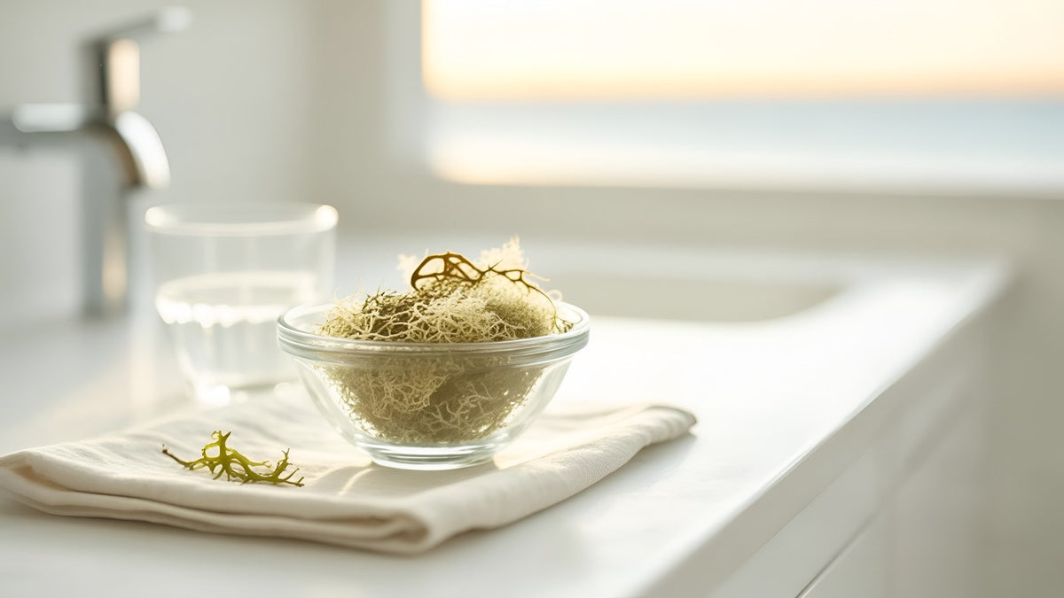 Dried Irish sea moss and bladderwrack seaweed in a glass bowl on linen