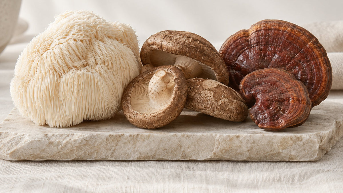 Lion's mane, shiitake and reishi mushrooms arranged on a pale stone surface