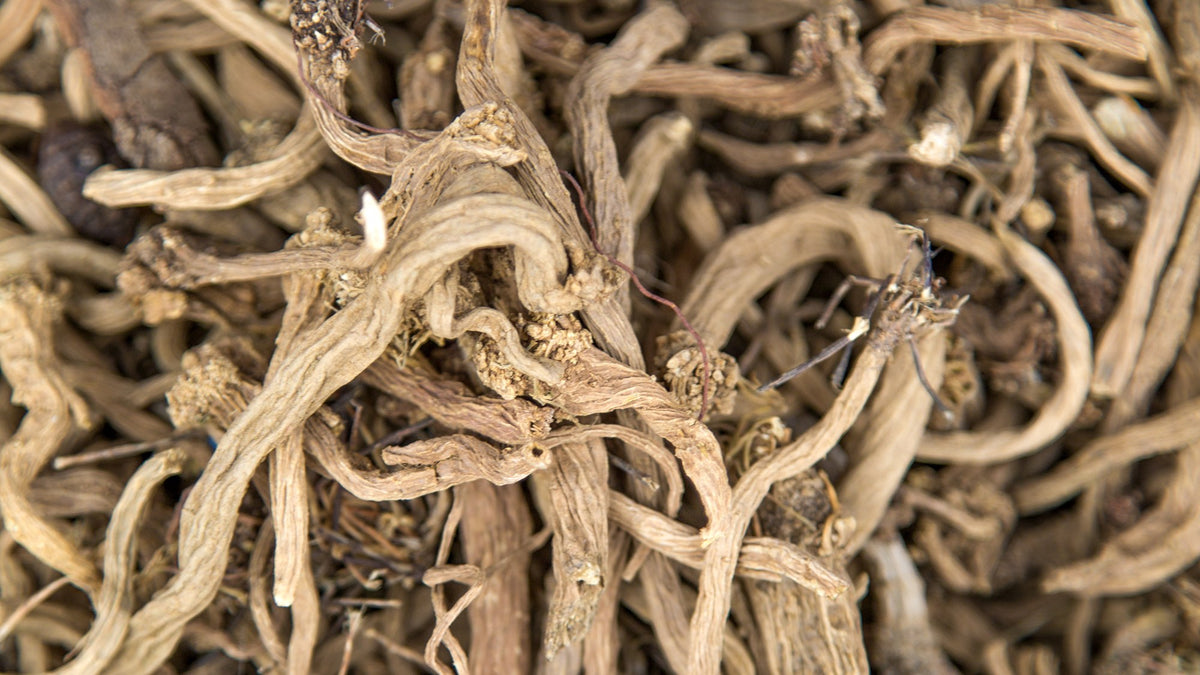 A close-up pile of dried botanical roots