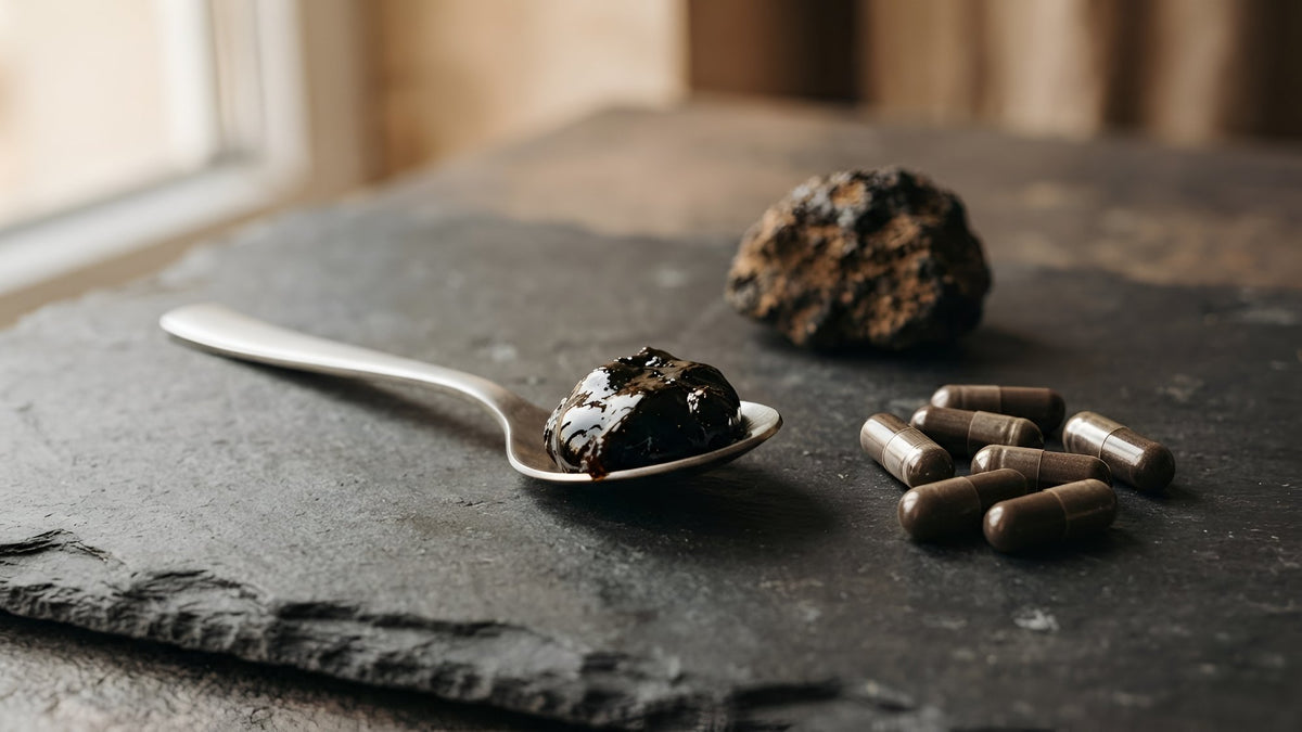 Spoonful of dark shilajit resin beside a few brown capsules and a mineral rock on dark slate
