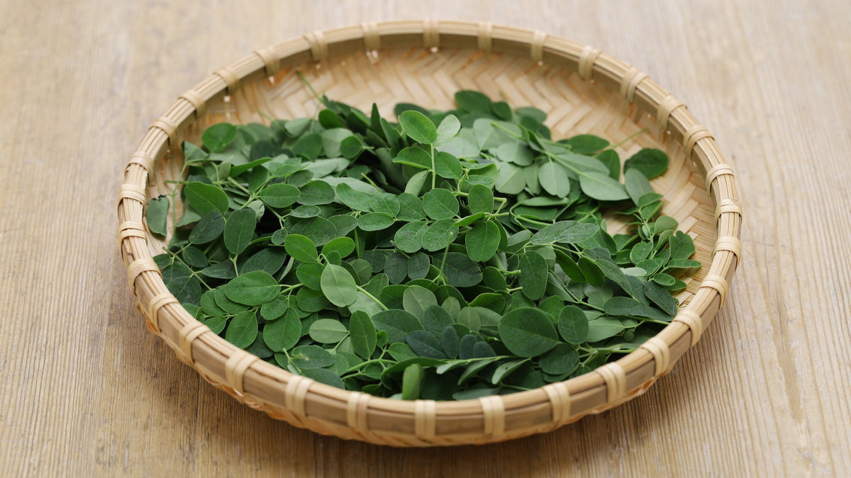 Fresh moringa leaves piled in a round woven basket on a light wooden table