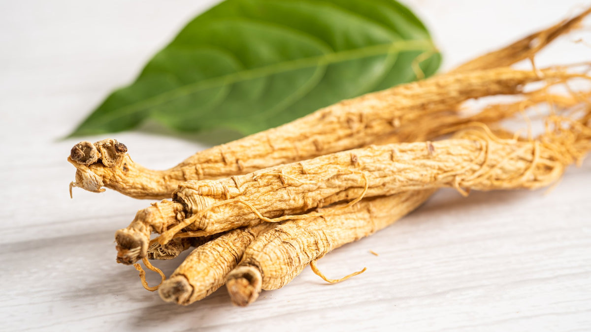 Dried ginseng roots and a fresh green leaf on a pale wooden table