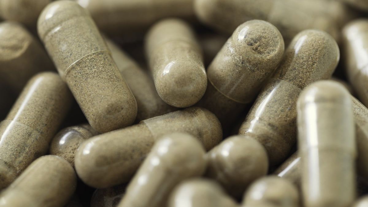 Close-up of greenish-brown herbal capsules filled with fine plant powder