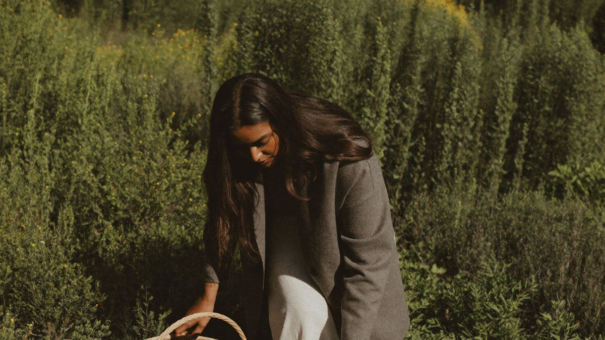 Woman gathering fresh leaves into a woven basket in a sunlit field of green plants