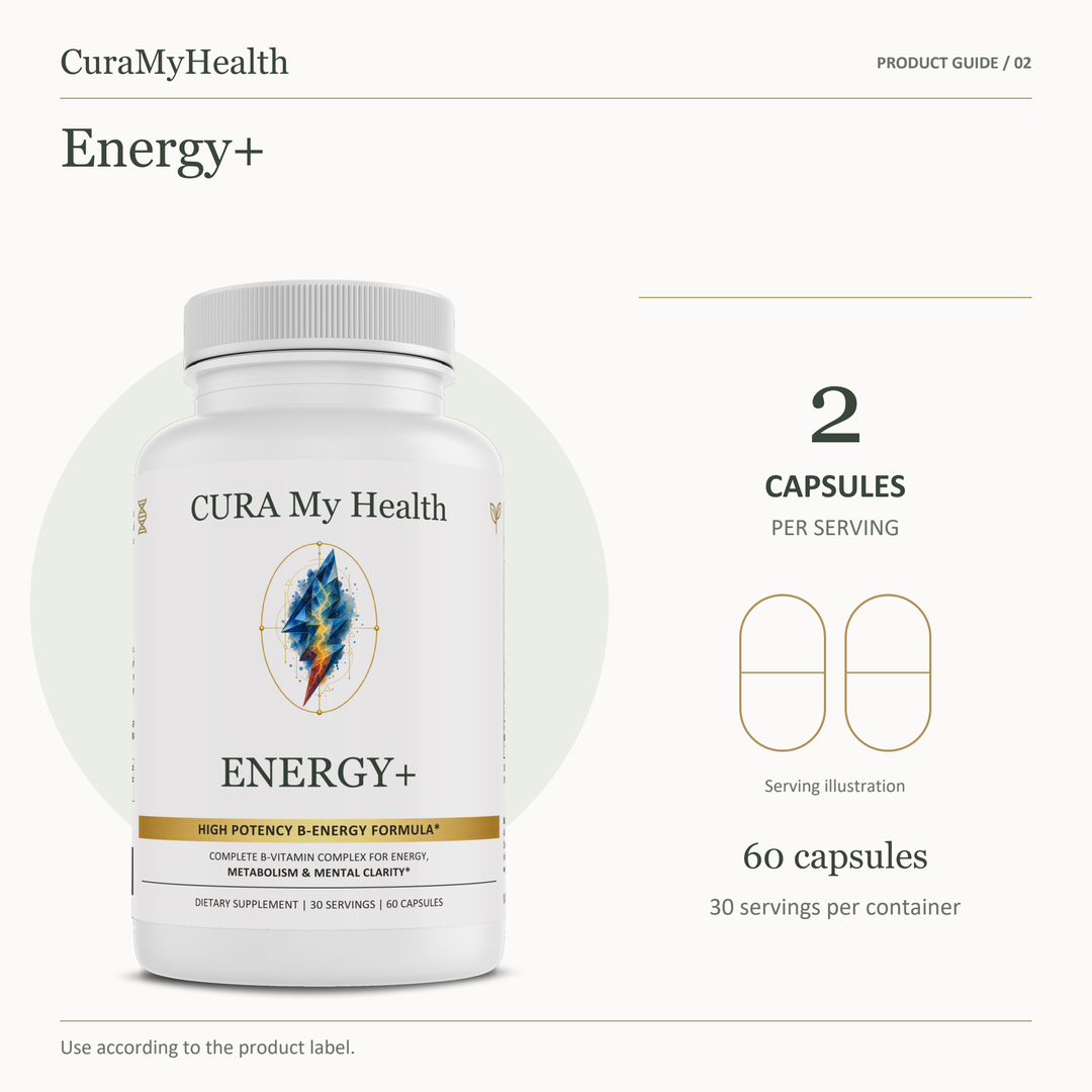 Energy+ - serving details