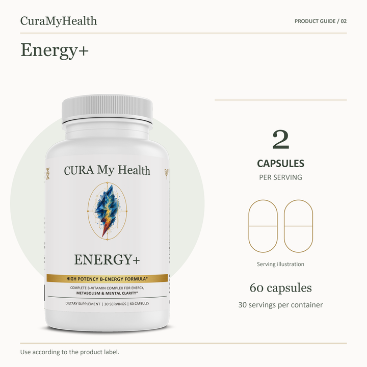 Energy+ - serving details
