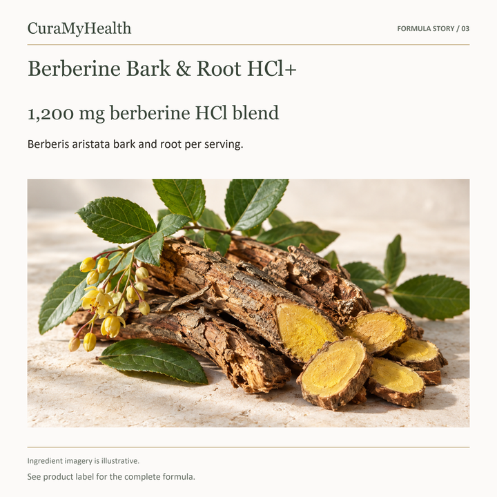 Berberine Bark & Root HCl+ - lifestyle