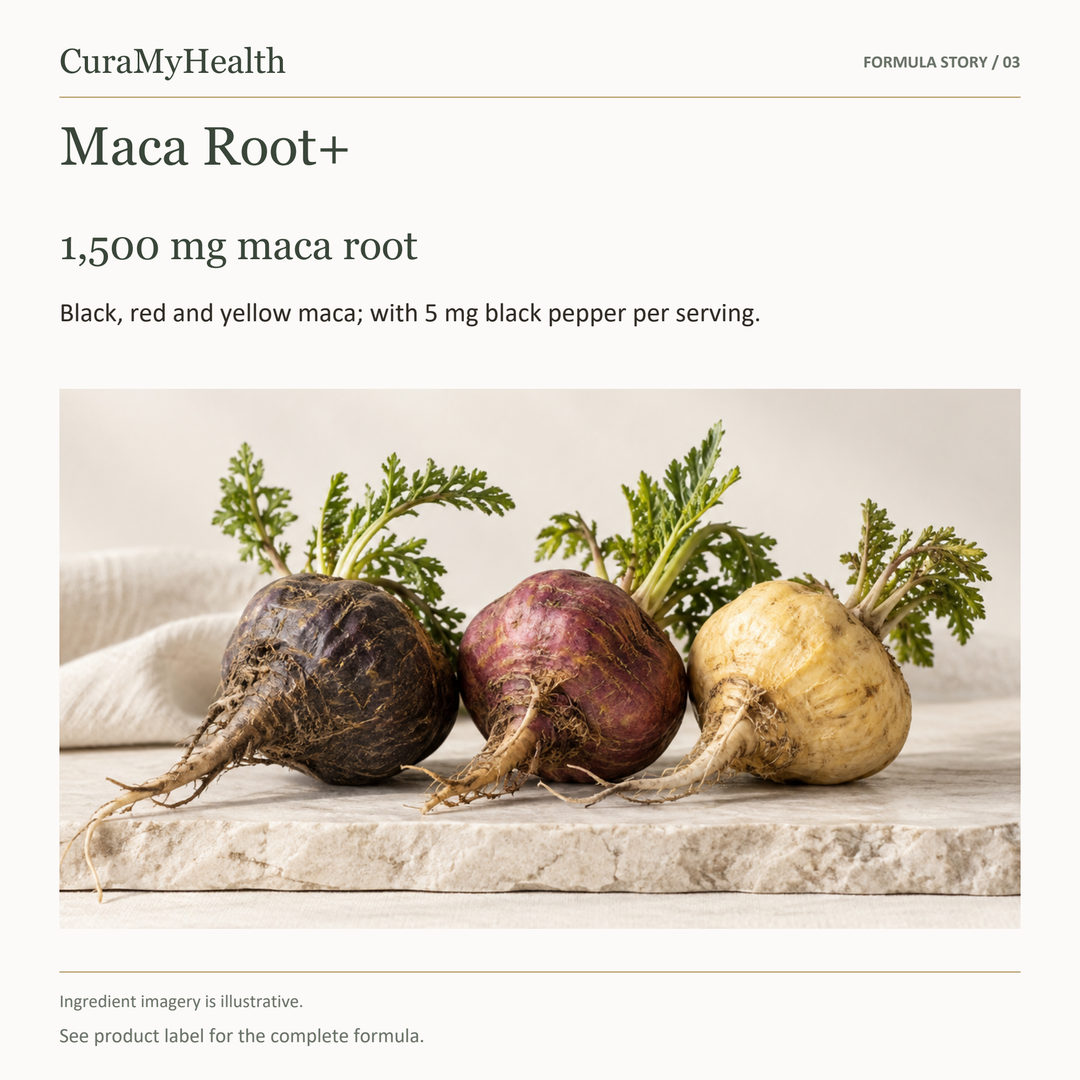 Maca Root+ - lifestyle