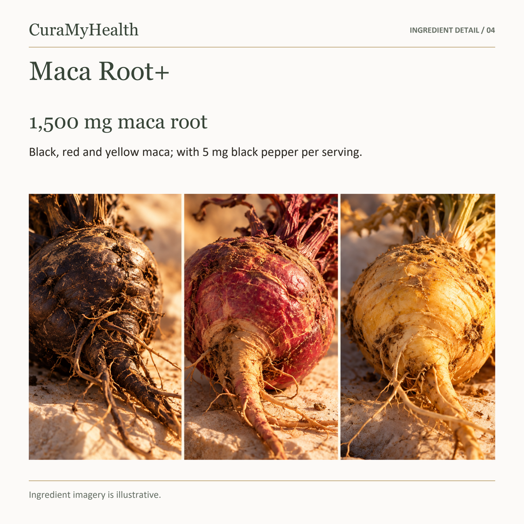 Maca Root+ - lifestyle