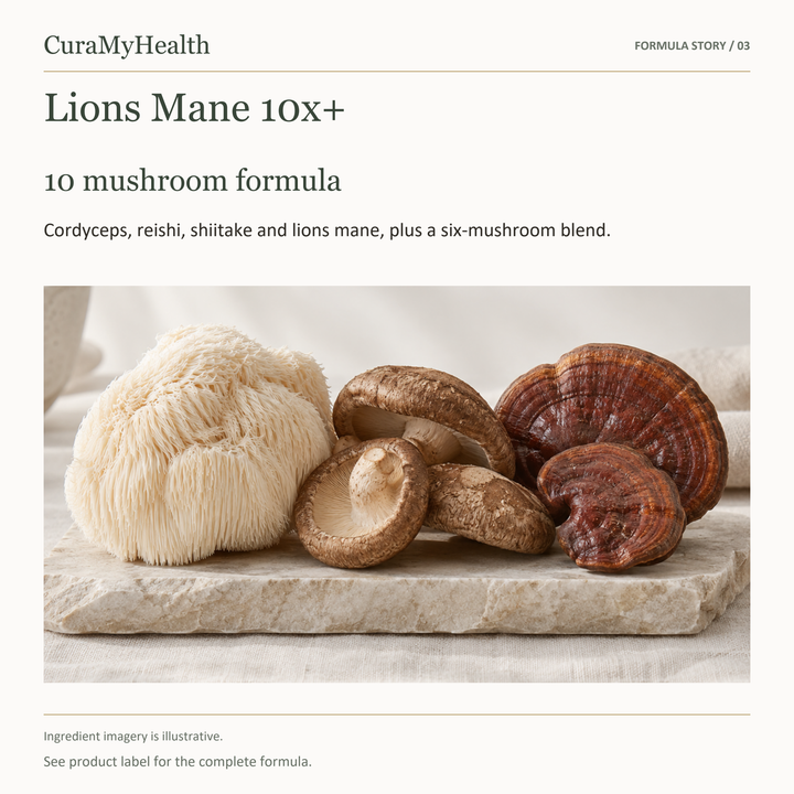 Lions Mane 10x+ - lifestyle