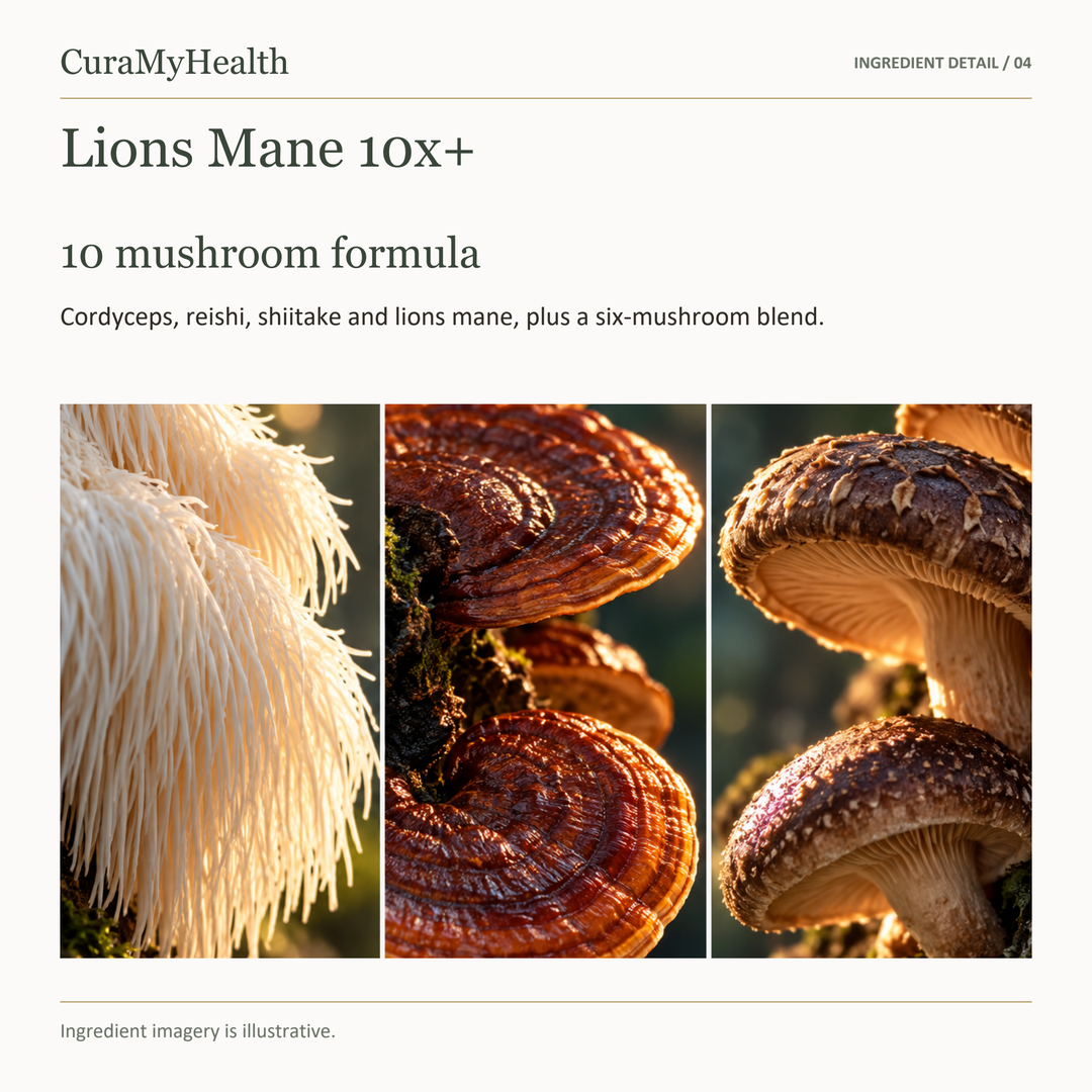 Lions Mane 10x+ - lifestyle