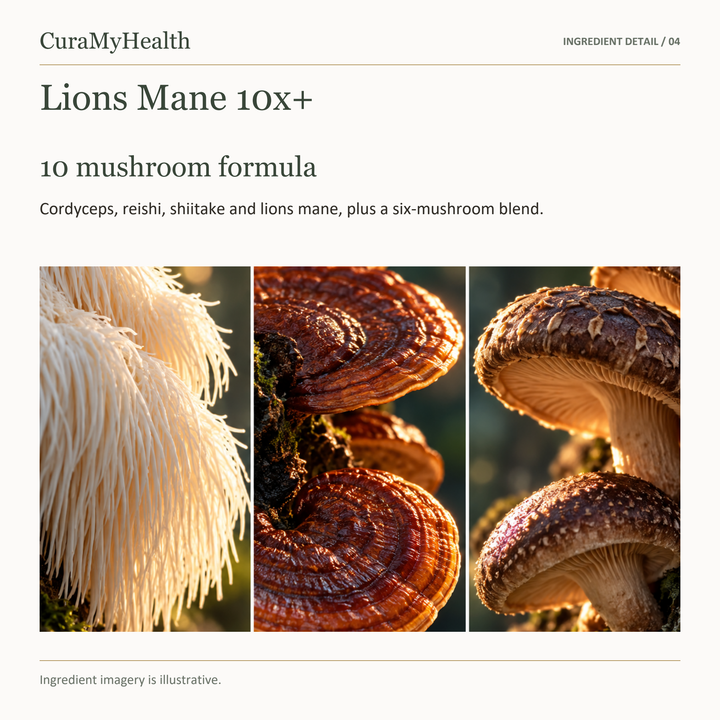 Lions Mane 10x+ - lifestyle